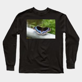 Stunning Blue Butterfly Long Sleeve T-Shirt